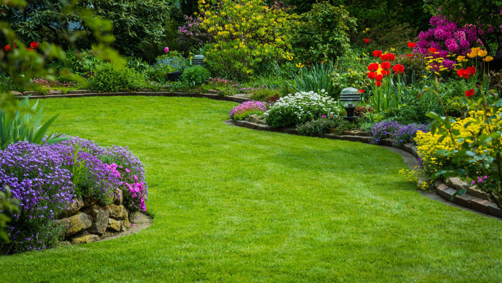 Lawn Care & Maintenance Lawn Care & Maintenance
