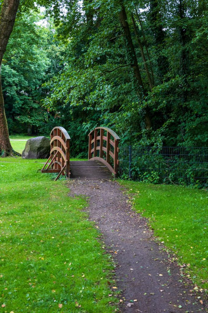 A peaceful scene featuring a quaint wooden footbridge surrounded by lush greenery in an outdoor park setting.