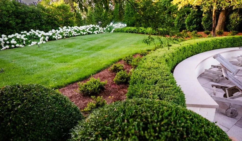landscape designs
